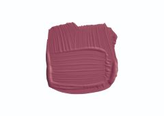 Radicchio No. 96